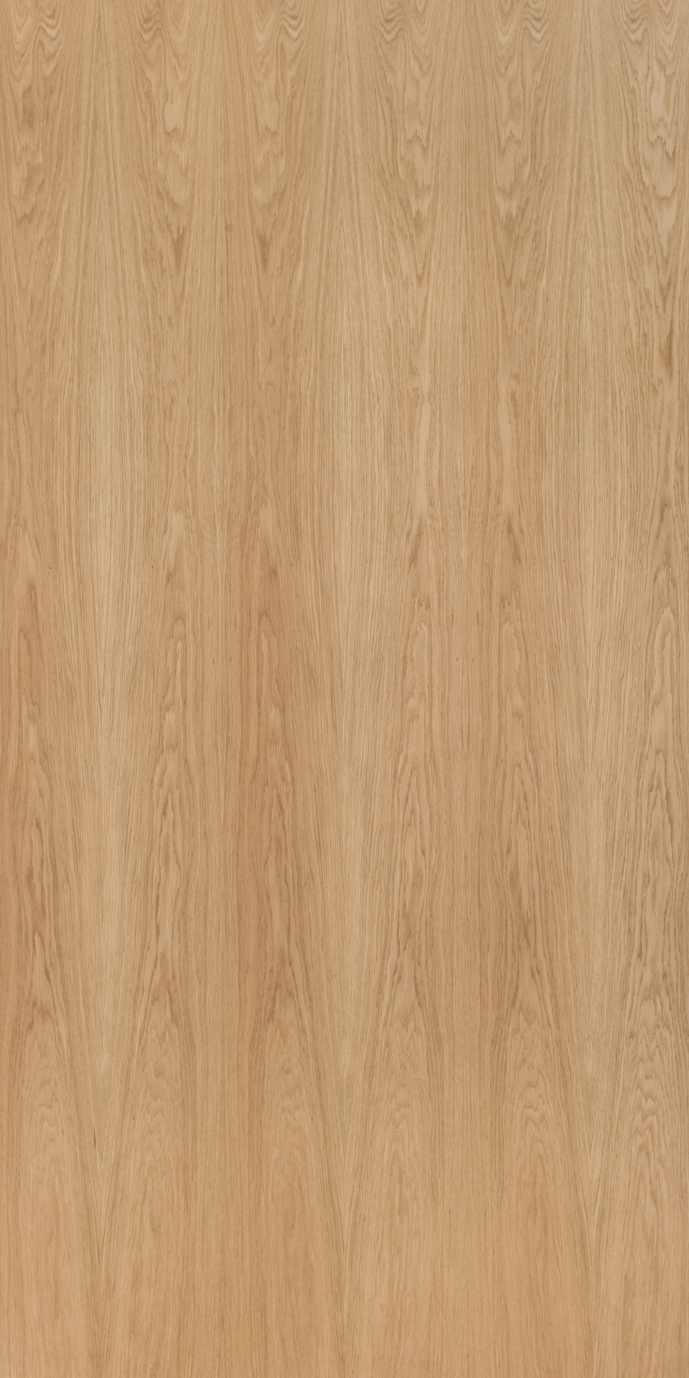 European Oak Crown Cut