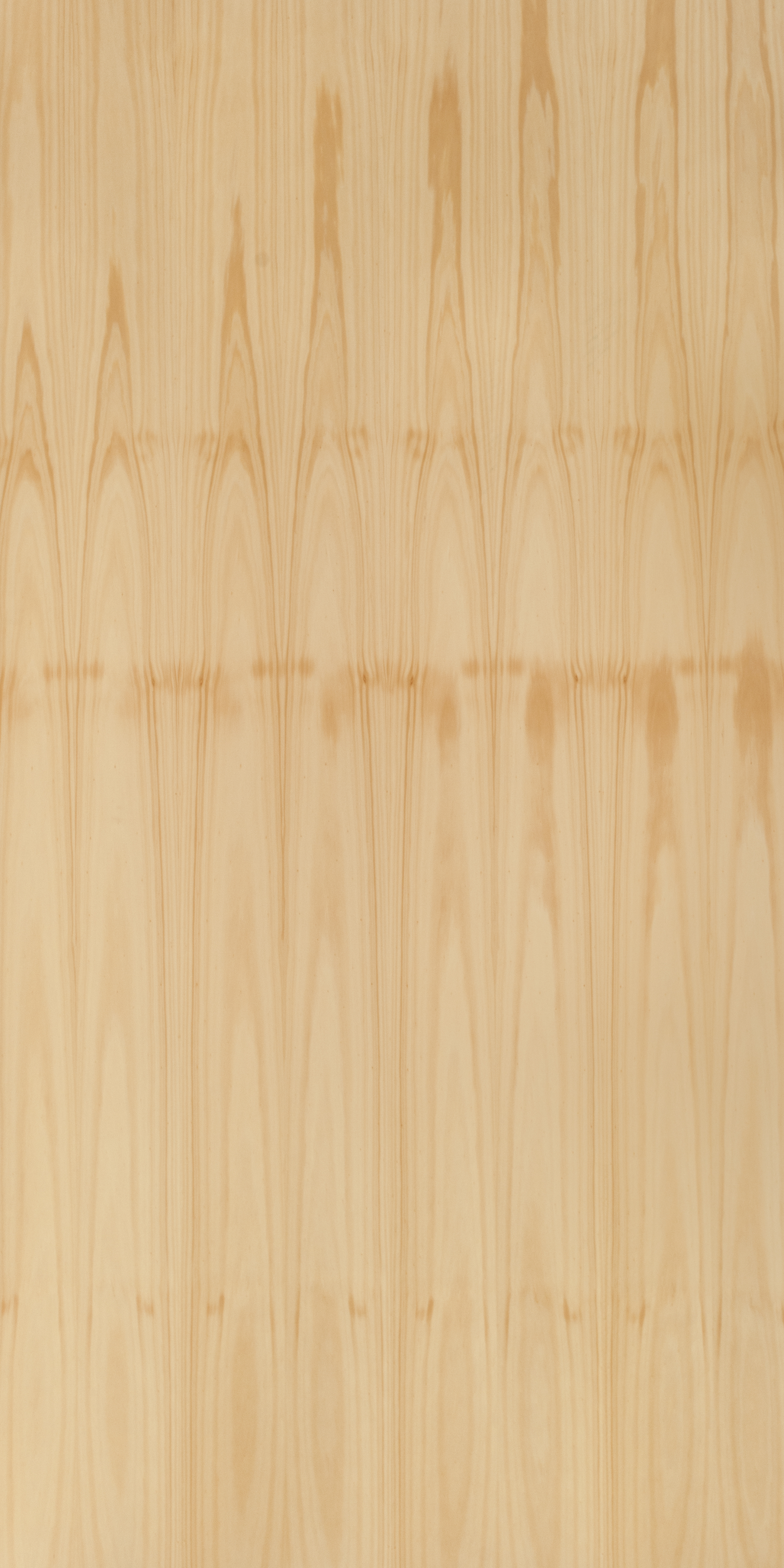 Hoop Pine Crown Cut