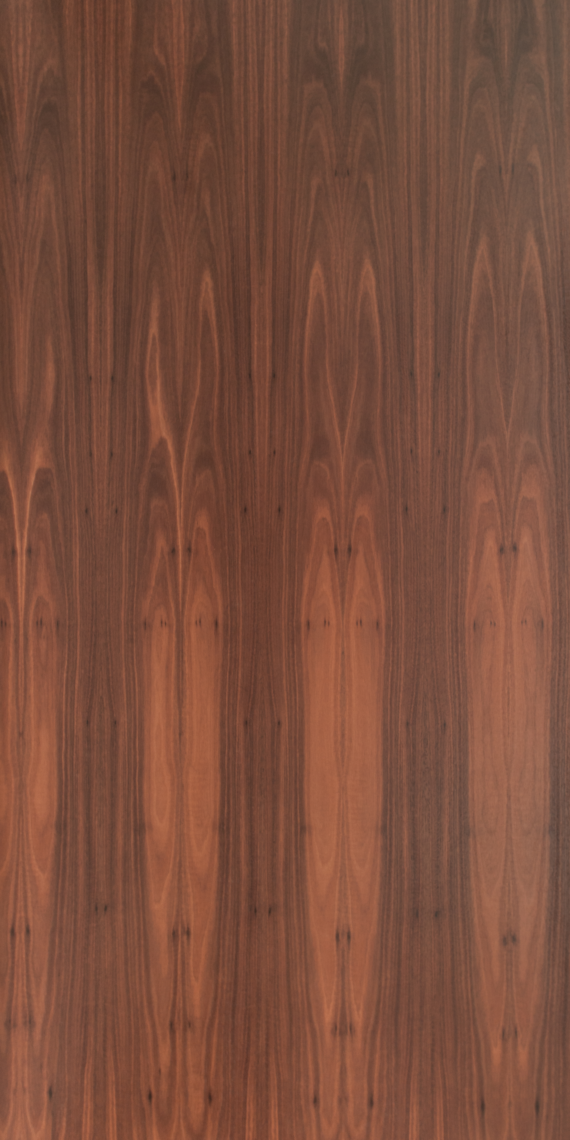 Jarrah Crown Cut