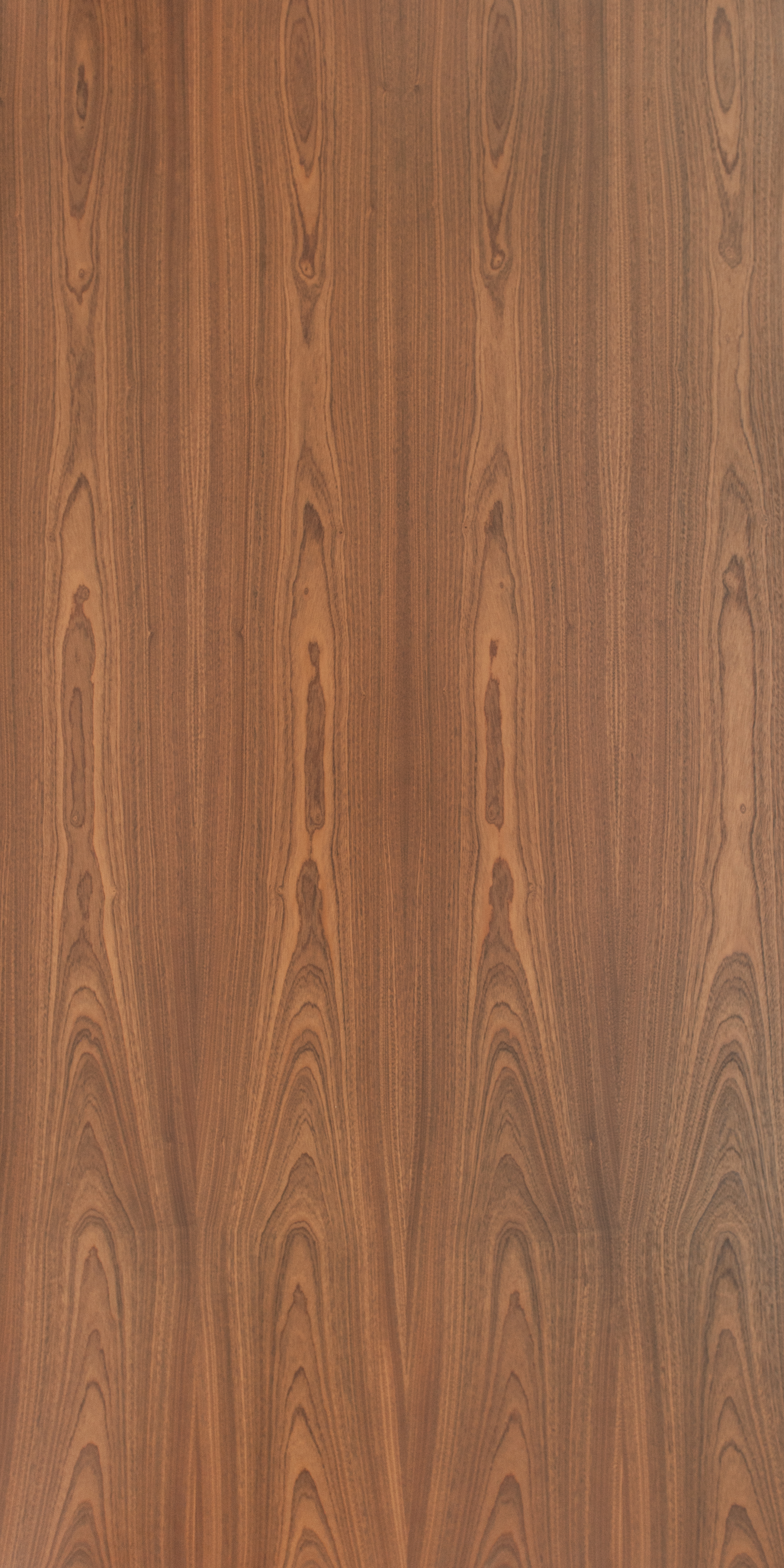 Sapele Crown Cut