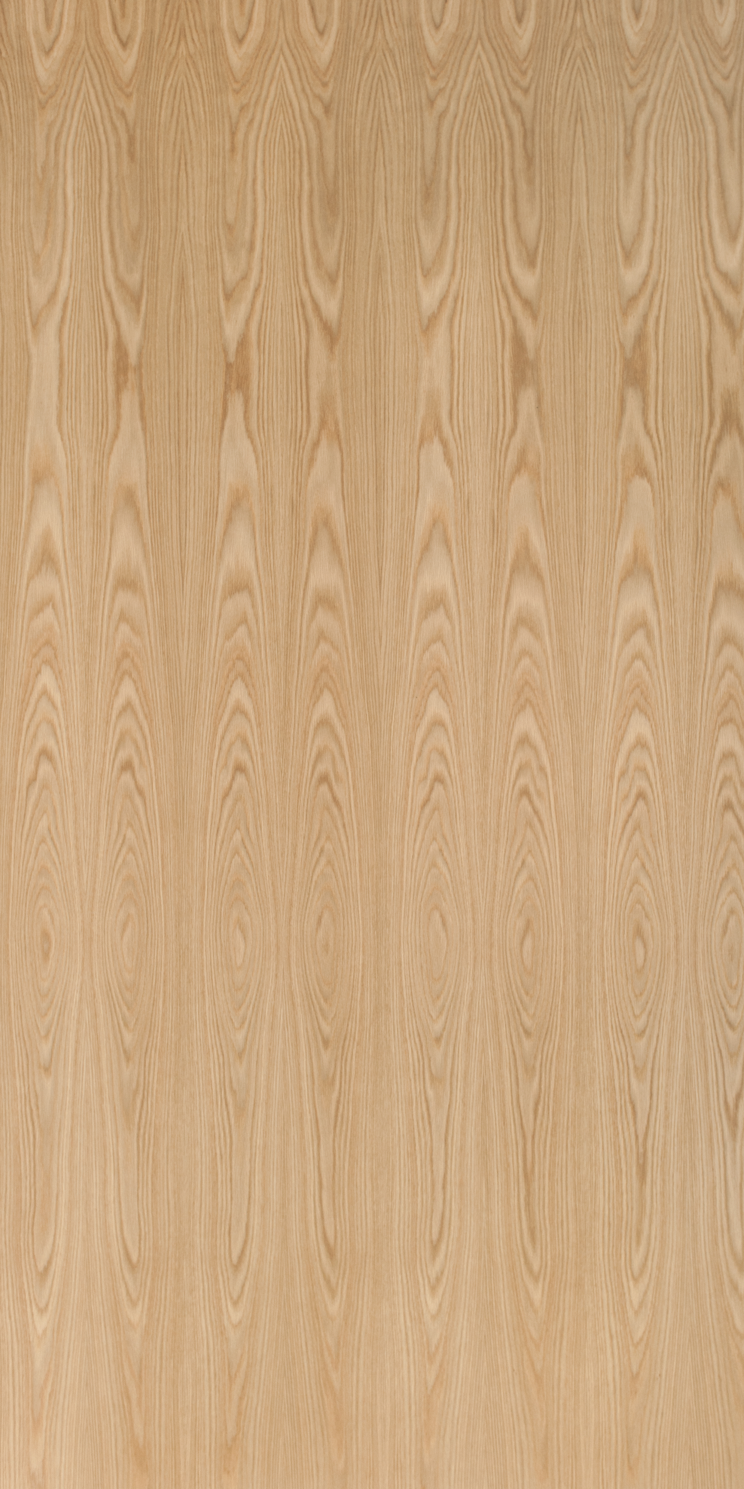 American White Oak Crown Cut