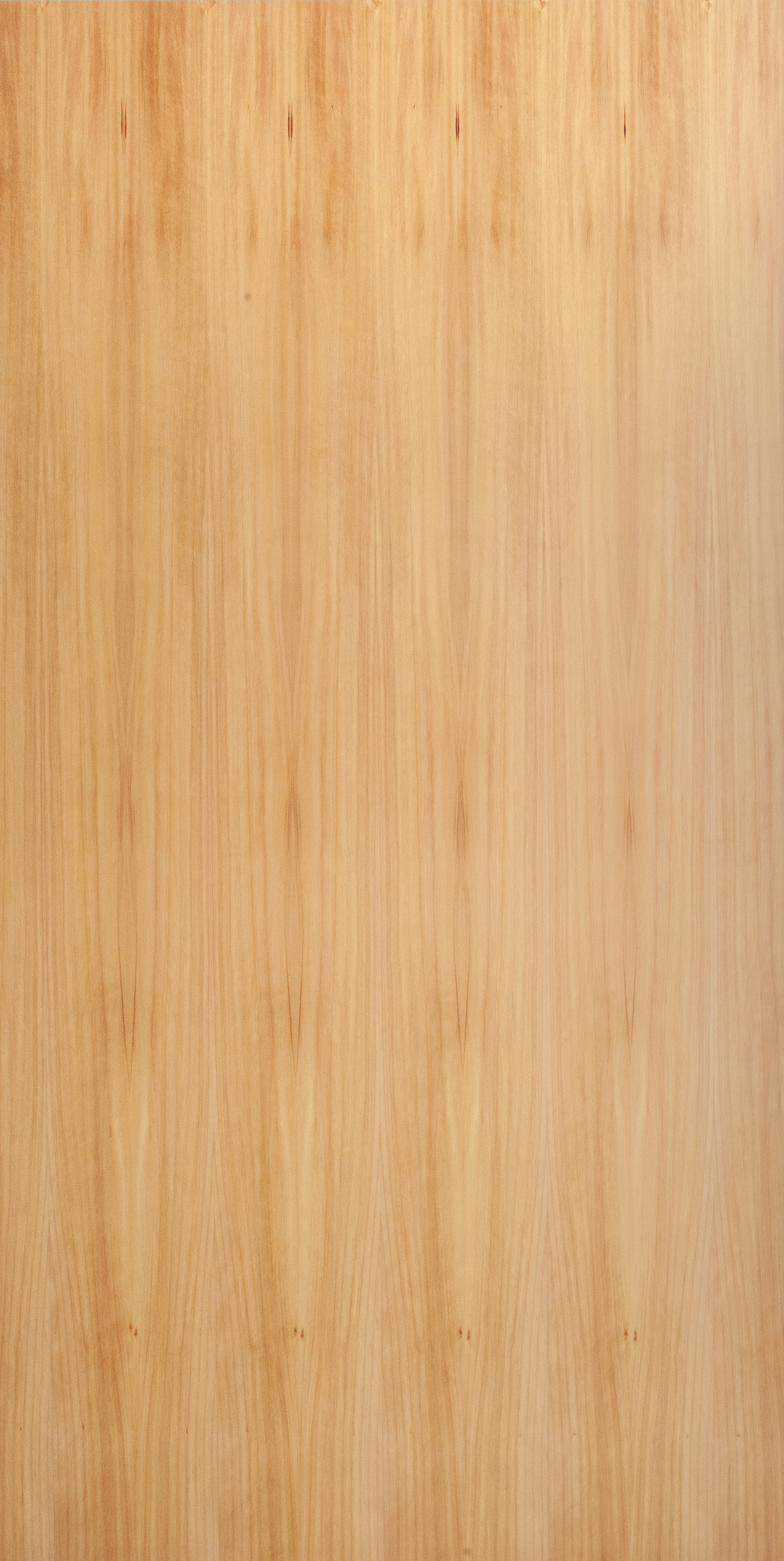 Macrocarpa